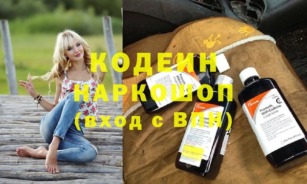 дмт Пересвет