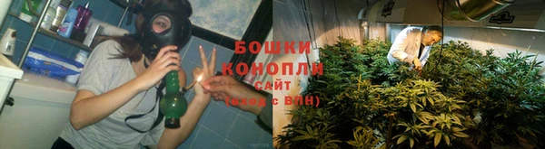 дмт Пересвет
