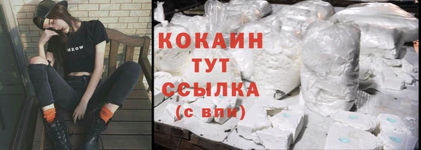 дмт Пересвет