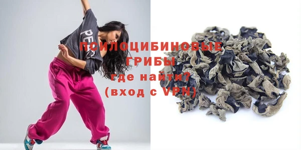 дмт Пересвет