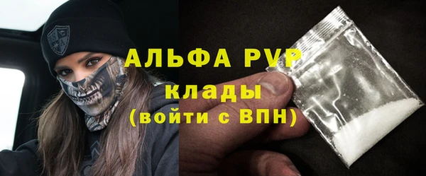 дмт Пересвет