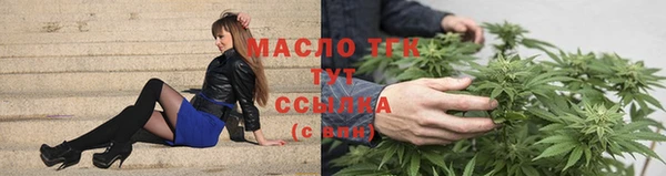 дмт Пересвет