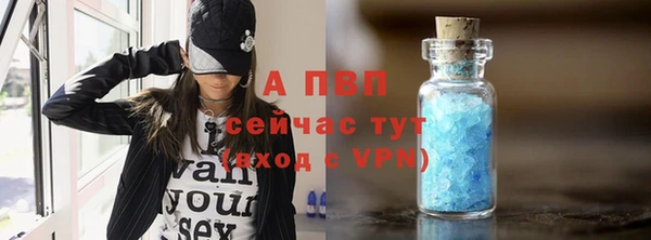дмт Пересвет