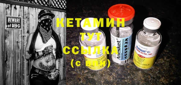 дмт Пересвет