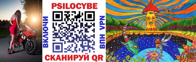 Купить где  Муравленко  Псилоцибиновые грибы Magic Shrooms 