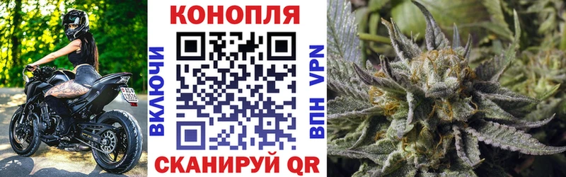 Купить закладки  Муравленко  Канабис VHQ 